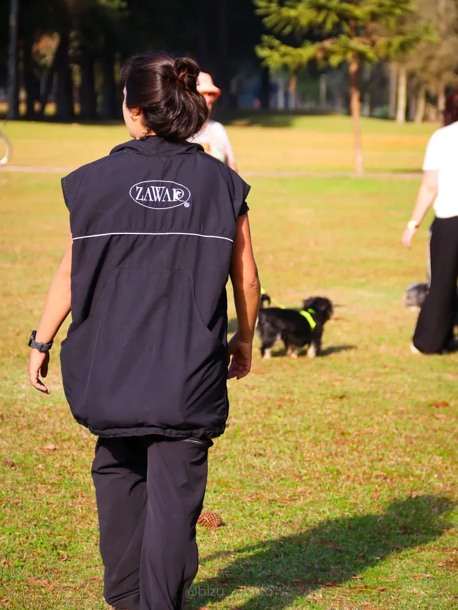 Cão em exercício de obediência durante o treinamento