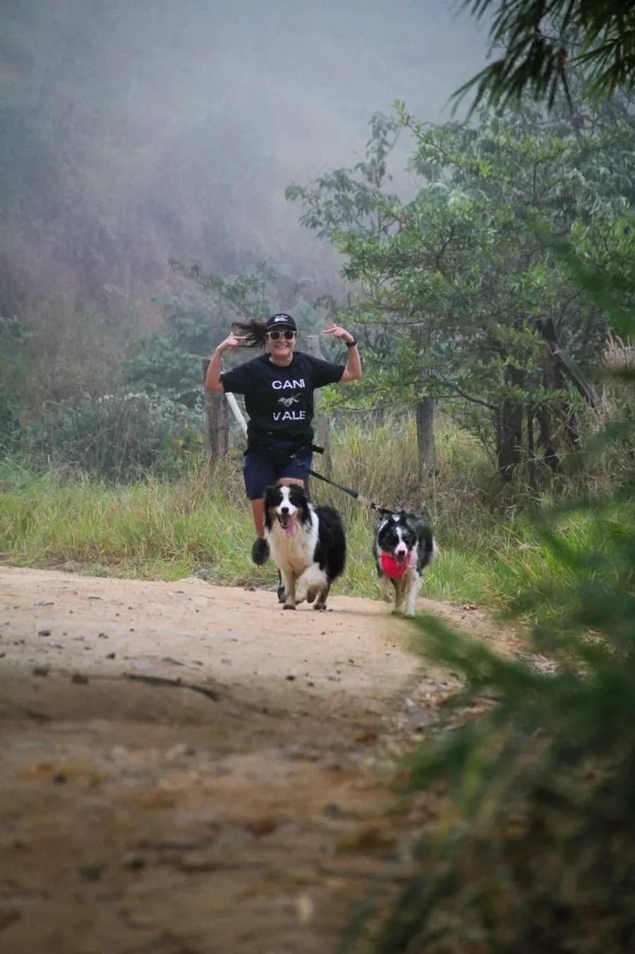 Cão equipado para canicross