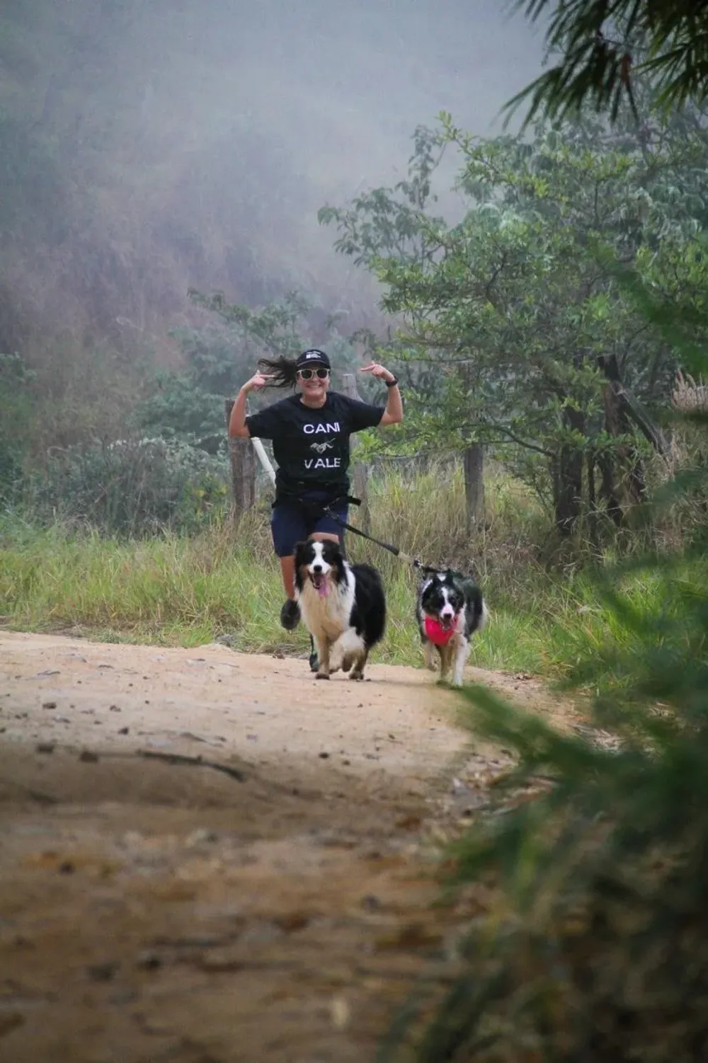 Preparação antes da corrida com o cão
