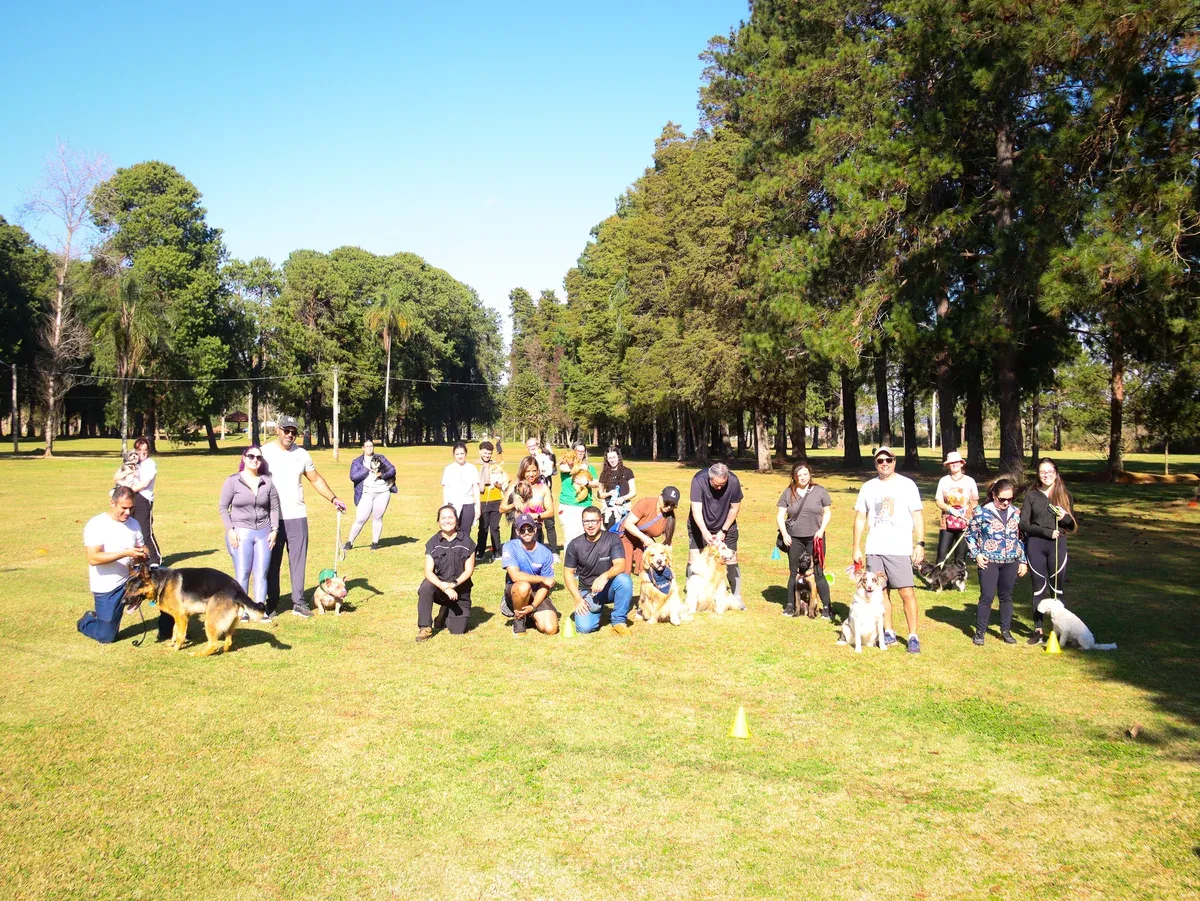 Turma de treinamento em grupo reunida