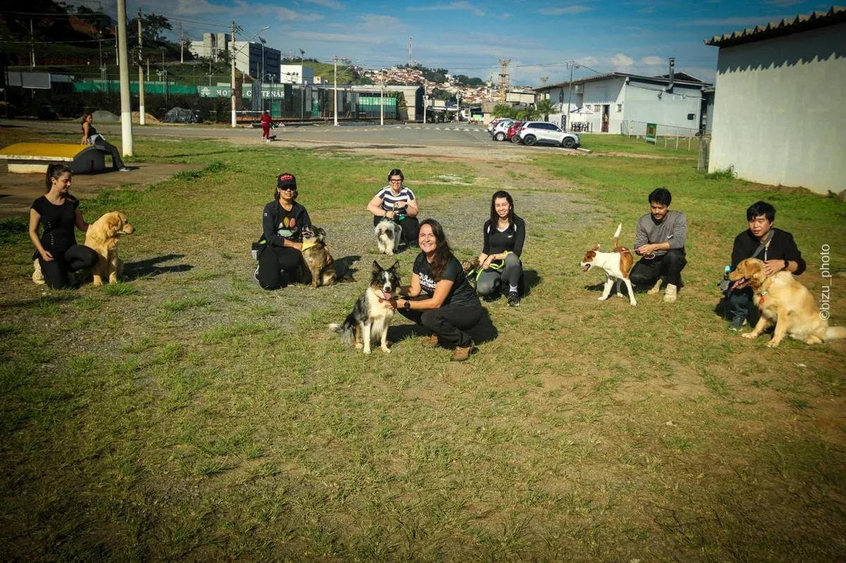 Cães e tutores durante um aulão