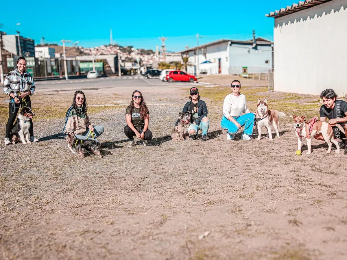 Trabalho de convivência entre cães no grupo