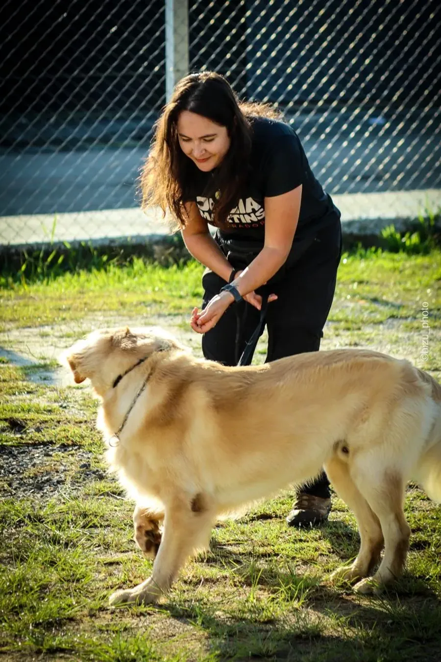 Júlia avaliando o comportamento de um cão