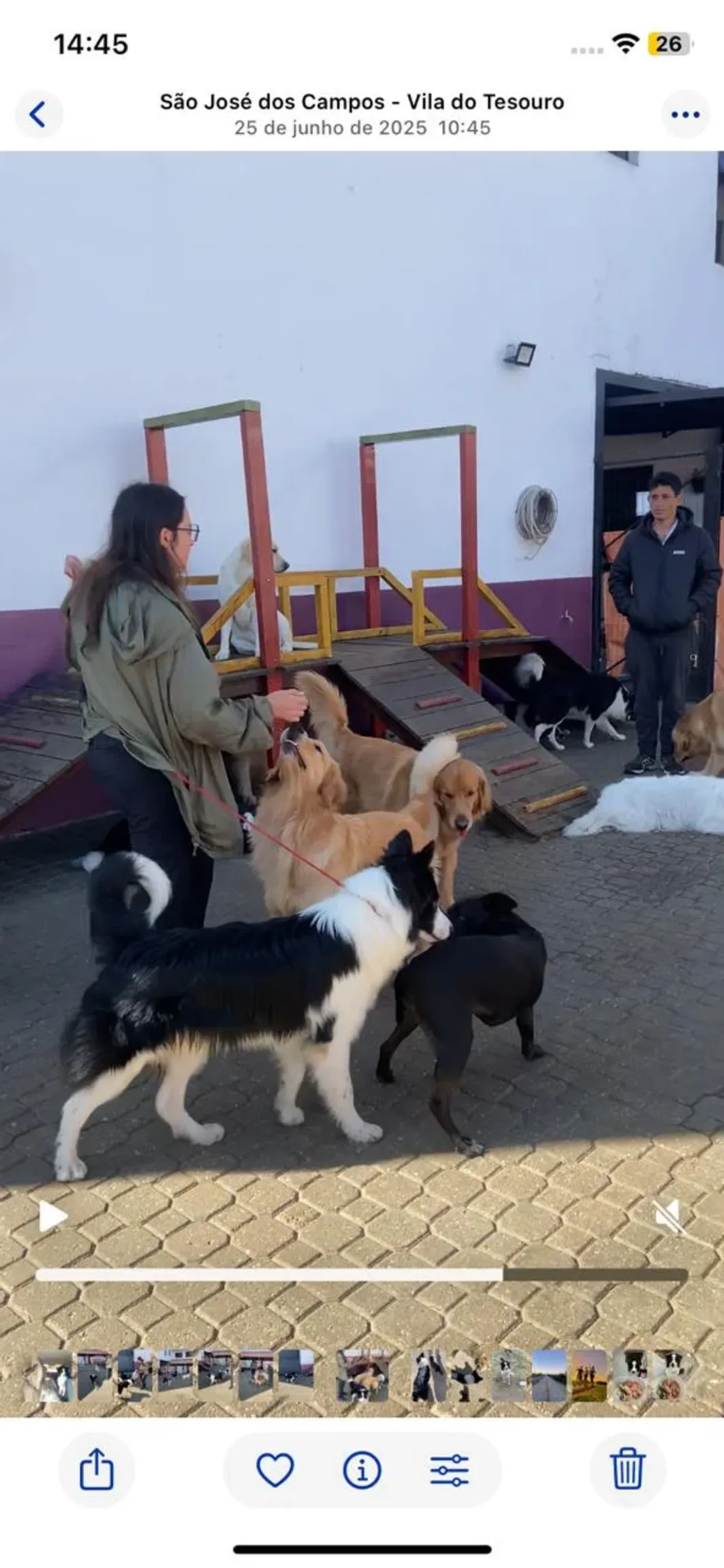Mentoria aplicada em espaço canino